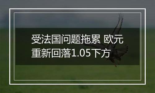 受法国问题拖累 欧元重新回落1.05下方