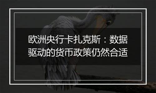 欧洲央行卡扎克斯：数据驱动的货币政策仍然合适