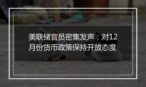 美联储官员密集发声：对12月份货币政策保持开放态度