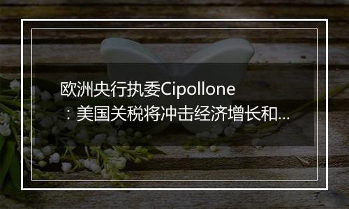 欧洲央行执委Cipollone：美国关税将冲击经济增长和通胀