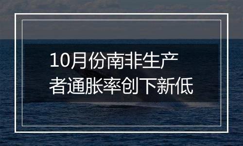 10月份南非生产者通胀率创下新低