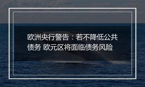 欧洲央行警告：若不降低公共债务 欧元区将面临债务风险