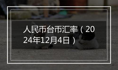 人民币台币汇率（2024年12月4日）