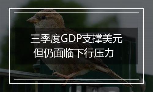 三季度GDP支撑美元 但仍面临下行压力