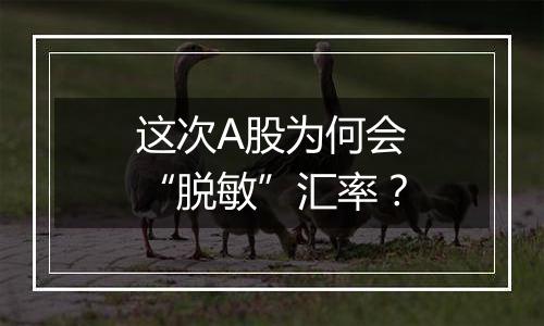 这次A股为何会“脱敏”汇率？