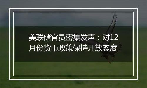 美联储官员密集发声：对12月份货币政策保持开放态度