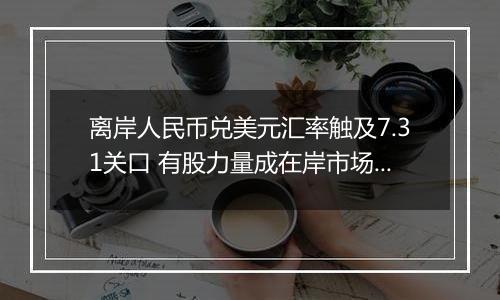 离岸人民币兑美元汇率触及7.31关口 有股力量成在岸市场重要支撑