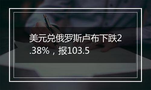 美元兑俄罗斯卢布下跌2.38%，报103.5