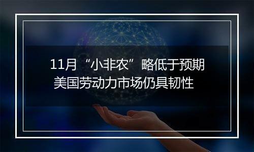 11月“小非农”略低于预期 美国劳动力市场仍具韧性