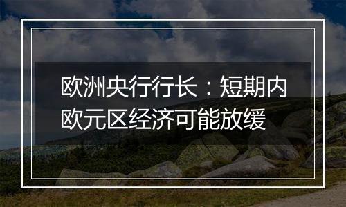 欧洲央行行长：短期内欧元区经济可能放缓