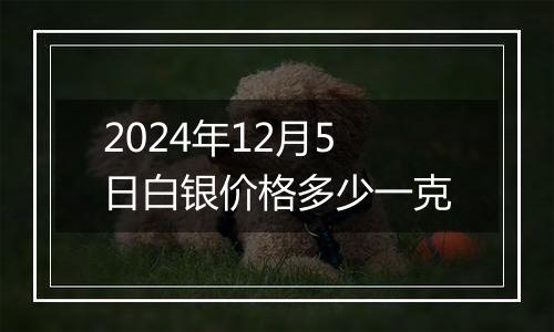 2024年12月5日白银价格多少一克