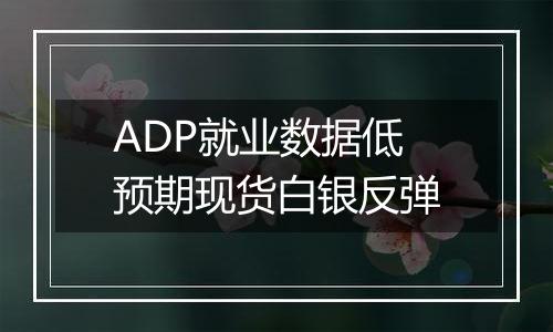 ADP就业数据低预期现货白银反弹