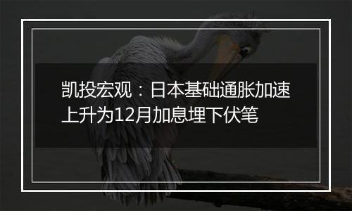 凯投宏观：日本基础通胀加速上升为12月加息埋下伏笔