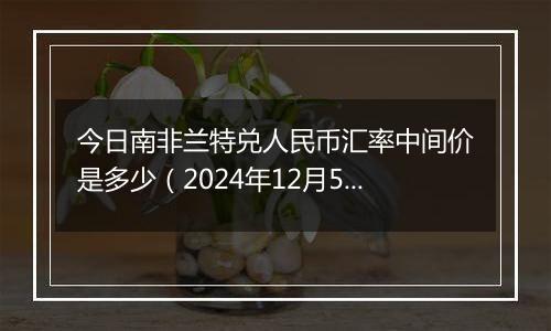 今日南非兰特兑人民币汇率中间价是多少（2024年12月5日）