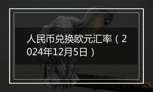 人民币兑换欧元汇率（2024年12月5日）