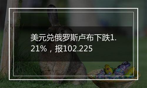 美元兑俄罗斯卢布下跌1.21%，报102.225