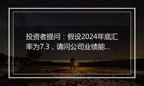 投资者提问：假设2024年底汇率为7.3，请问公司业绩能增厚几千万元？谢谢...