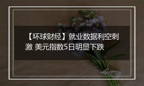 【环球财经】就业数据利空刺激 美元指数5日明显下跌