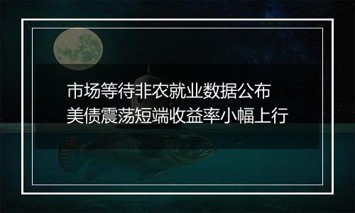 市场等待非农就业数据公布 美债震荡短端收益率小幅上行