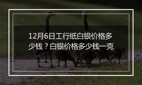 12月6日工行纸白银价格多少钱？白银价格多少钱一克