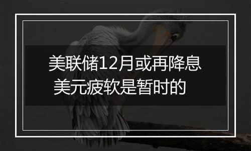 美联储12月或再降息 美元疲软是暂时的