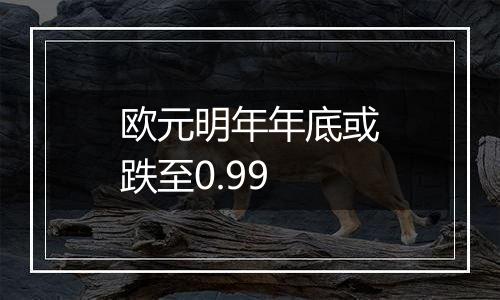 欧元明年年底或跌至0.99