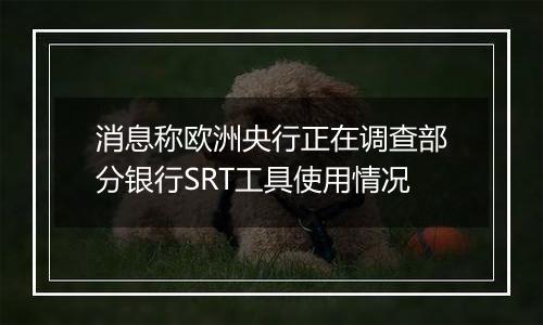 消息称欧洲央行正在调查部分银行SRT工具使用情况