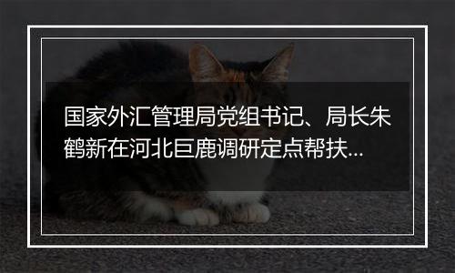 国家外汇管理局党组书记、局长朱鹤新在河北巨鹿调研定点帮扶工作