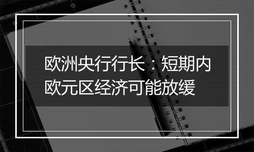 欧洲央行行长：短期内欧元区经济可能放缓