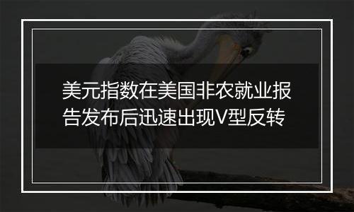 美元指数在美国非农就业报告发布后迅速出现V型反转