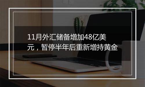 11月外汇储备增加48亿美元，暂停半年后重新增持黄金