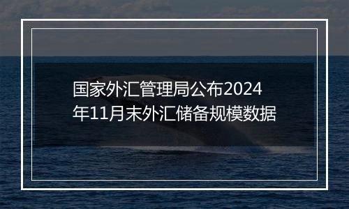 国家外汇管理局公布2024年11月末外汇储备规模数据