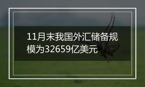 11月末我国外汇储备规模为32659亿美元