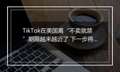 TikTok在美国离“不卖就禁”期限越来越近了 下一步将面临什么？