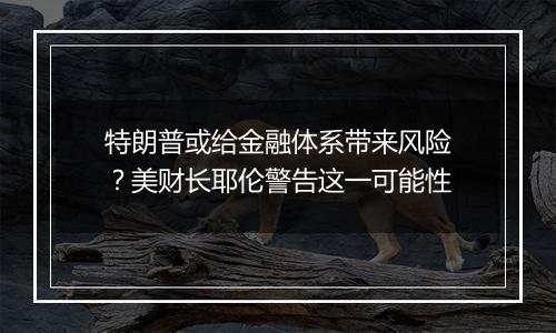 特朗普或给金融体系带来风险？美财长耶伦警告这一可能性