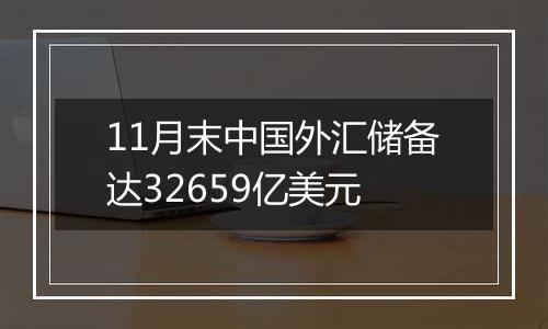 11月末中国外汇储备达32659亿美元