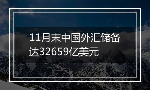 11月末中国外汇储备达32659亿美元