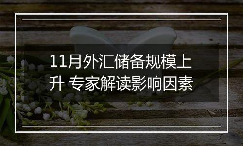 11月外汇储备规模上升 专家解读影响因素