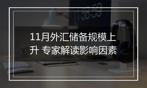 11月外汇储备规模上升 专家解读影响因素