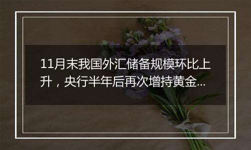 11月末我国外汇储备规模环比上升，央行半年后再次增持黄金储备