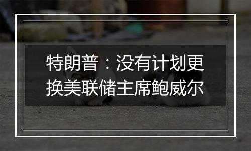 特朗普：没有计划更换美联储主席鲍威尔