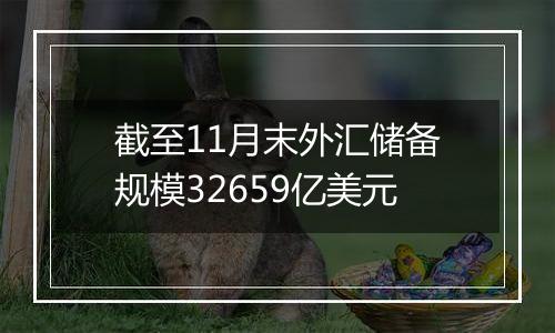 截至11月末外汇储备规模32659亿美元