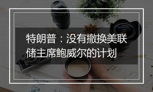 特朗普：没有撤换美联储主席鲍威尔的计划