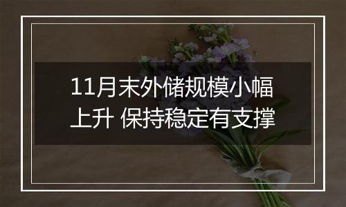 11月末外储规模小幅上升 保持稳定有支撑