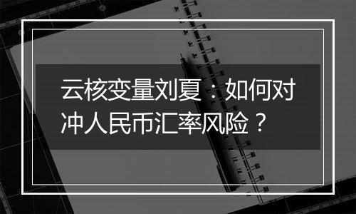 云核变量刘夏：如何对冲人民币汇率风险？