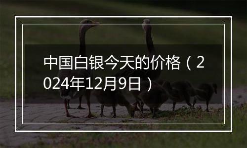 中国白银今天的价格（2024年12月9日）