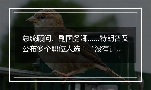 总统顾问、副国务卿……特朗普又公布多个职位人选！“没有计划撤换美联储主席鲍威尔”