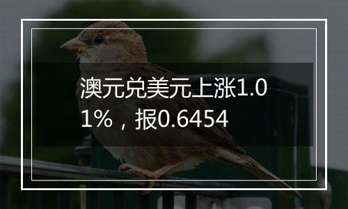 澳元兑美元上涨1.01%，报0.6454