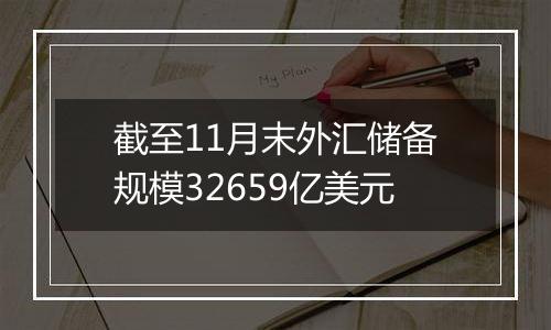 截至11月末外汇储备规模32659亿美元