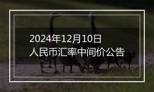 2024年12月10日人民币汇率中间价公告